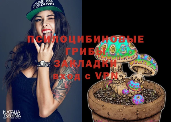 прущий лед Арсеньев
