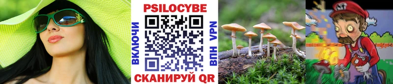 Купить закладки  Владимир  Псилоцибиновые грибы MAGIC MUSHROOMS 